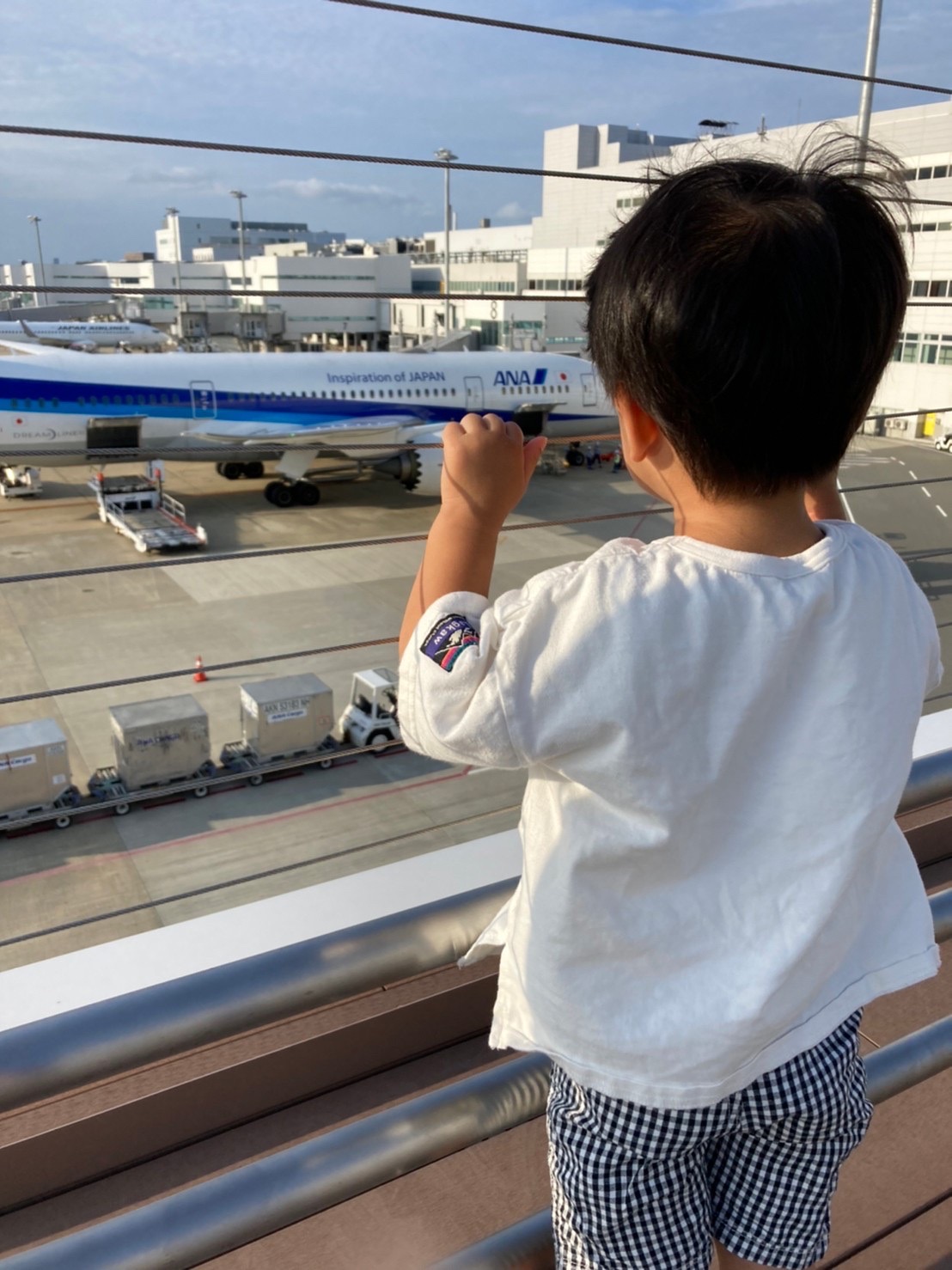 飛行機にドハマり中！