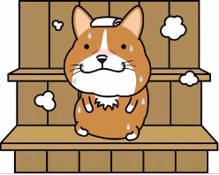サウナでカラダを整える！