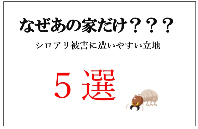 「なぜあの家だけシロアリ被害に？実は共通していた“立地の落とし穴”5選」